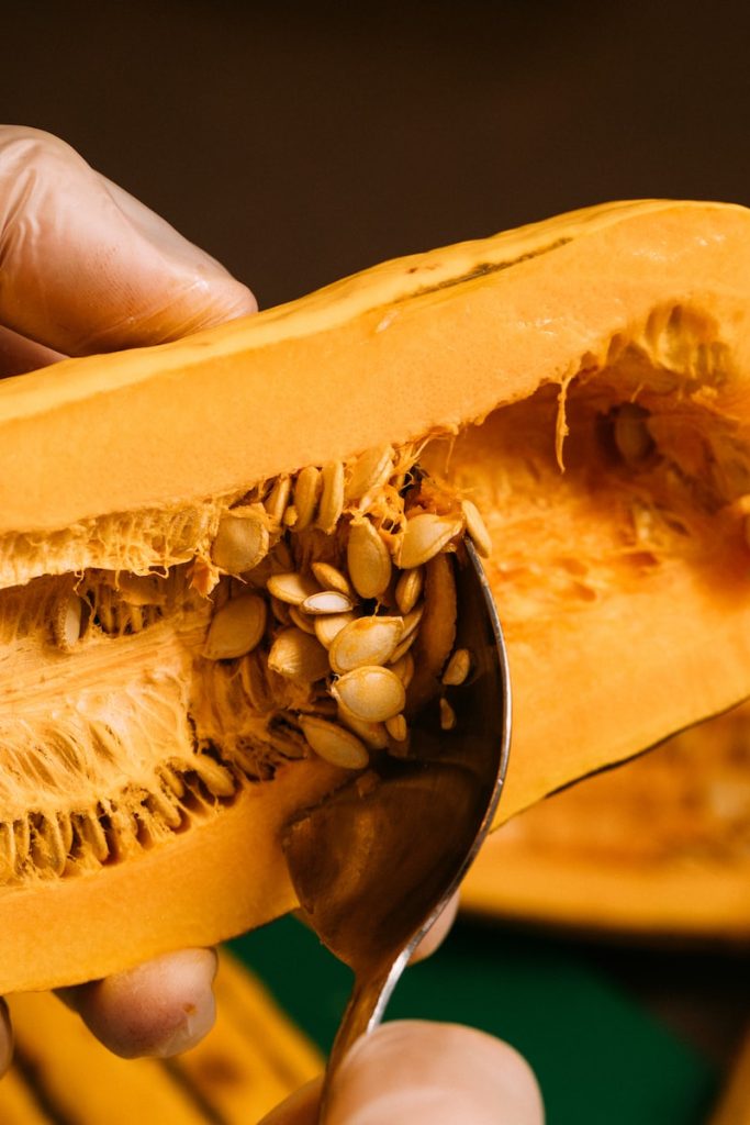 Recette courge butternut Plare
