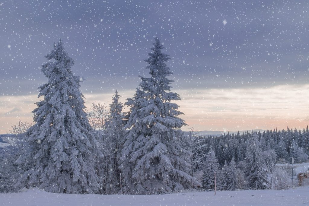 Compte à rebours de Noël : plus que 45 jours avant le réveillon - plare. noel magique - plare.