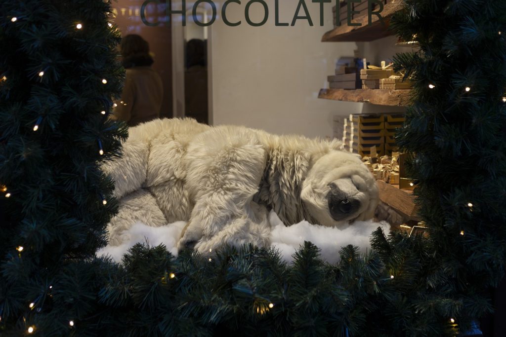 Compte à rebours de Noël : plus que 41 jours avant le réveillon - plare. vitrine animee - plare.