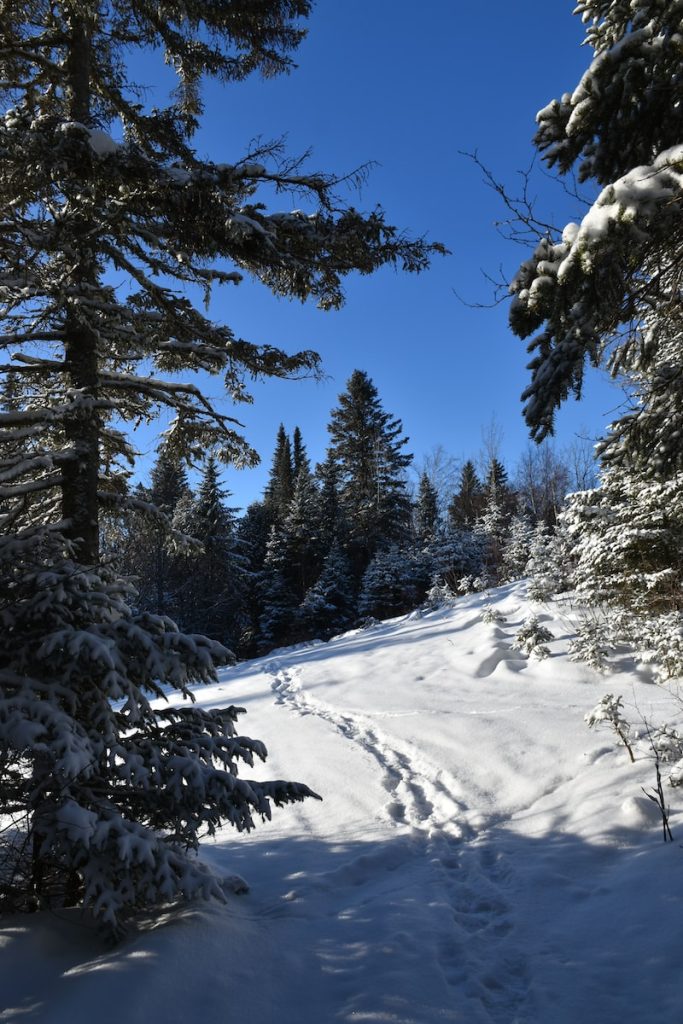 Top 39 activités à faire quand il fait froid