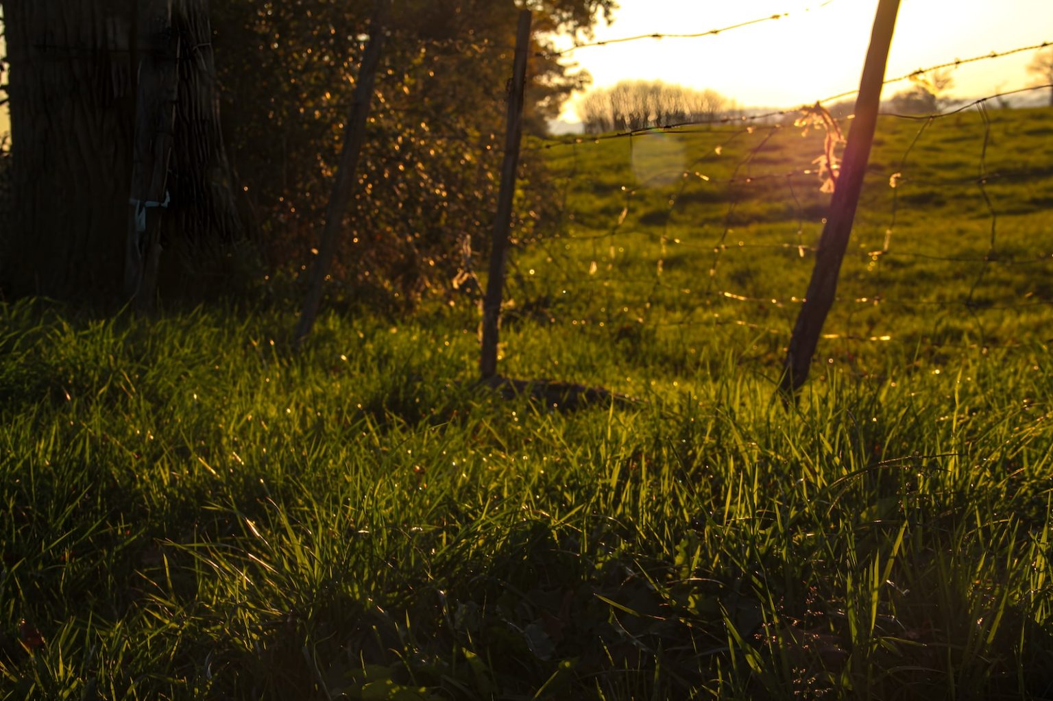 Partir en vacances même si vos enfants sont insupportables ! Limousin