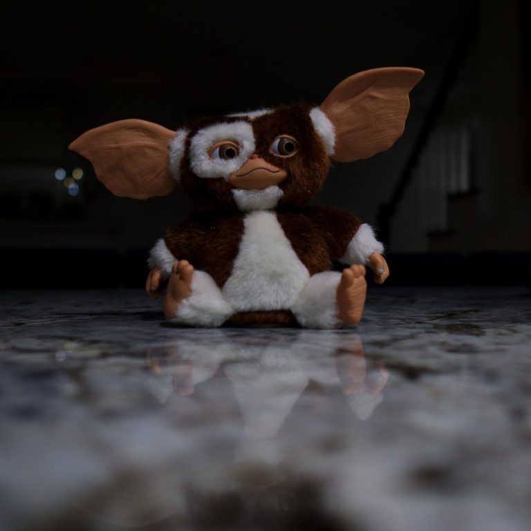 Top 19 des animaux de compagnie fictifs Gizmo