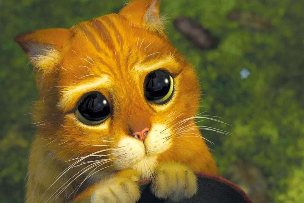 Le Chat Potté Shrek Top 19 des animaux de compagnie fictifs