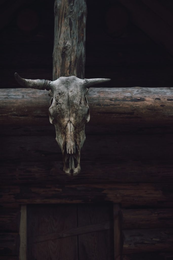 top 13 meilleures séries western
