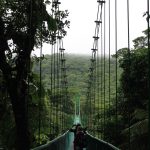 Top 21 des plus grandes forêts tropicales du monde