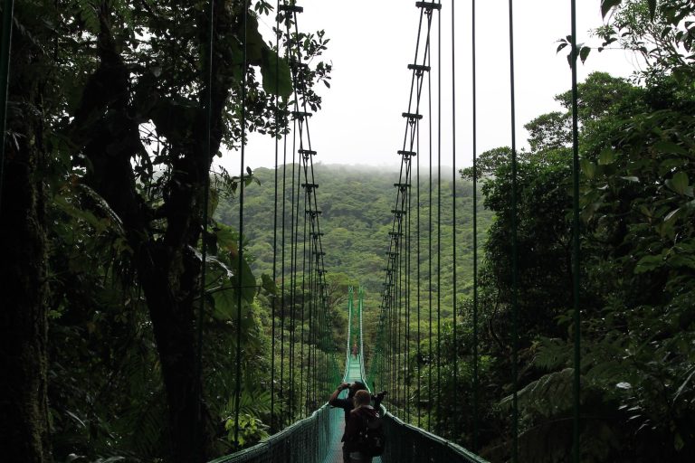 Top 21 des plus grandes forêts tropicales du monde