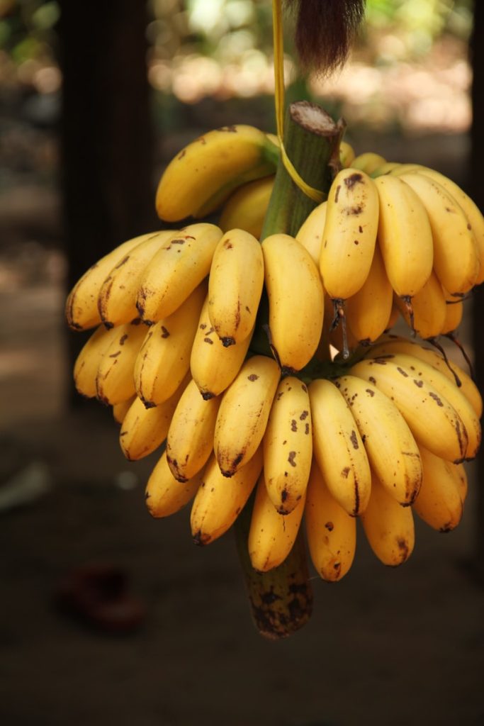 Banane aliments riches en magnésium