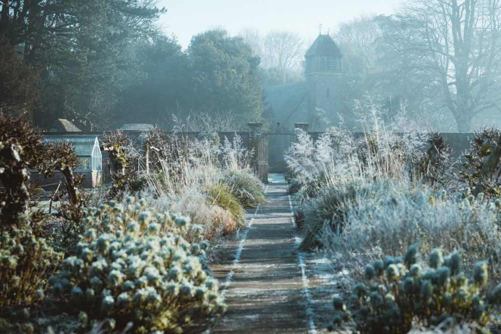 idées pour s’occuper jardin hiver