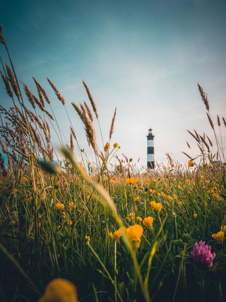 Camping les gros joncs à l'île d'Oléron en Charente-Maritime Phare