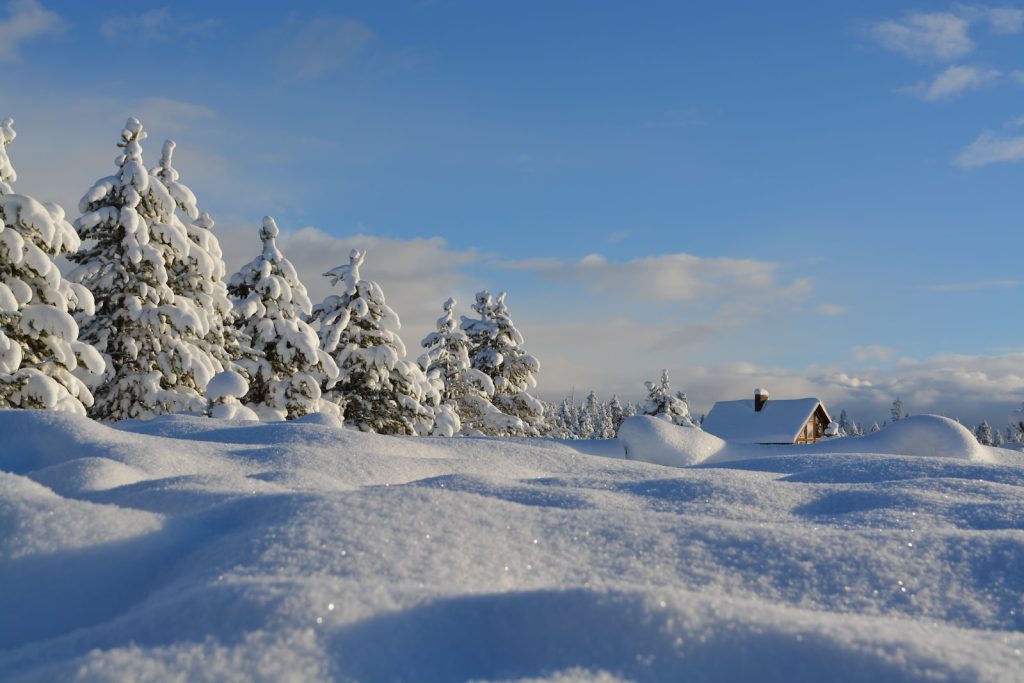 Top 15 des réveillons plus originaux Noël