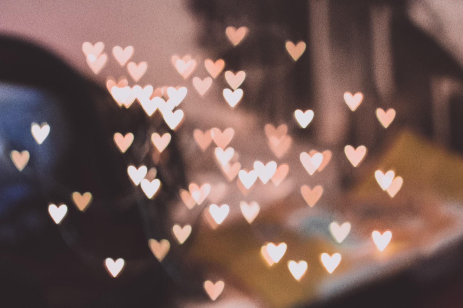 Pourquoi pas offrir une rose à la Saint-Valentin ?