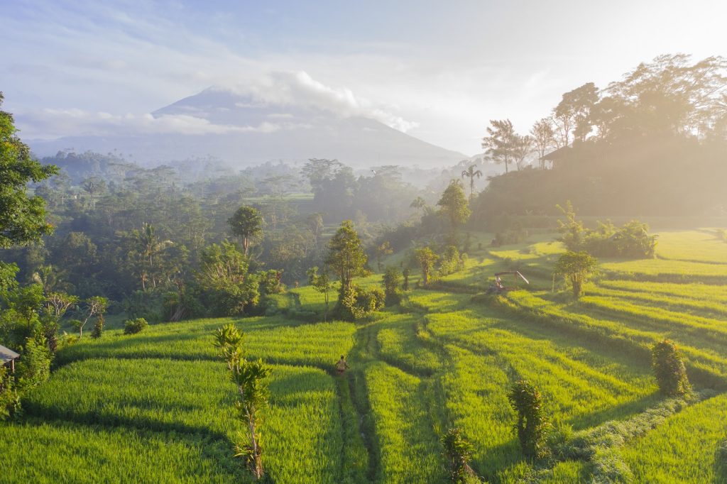 Top 10 pays biodiversité