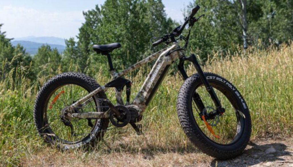 Himiway Fatbike
