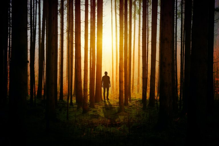 Les meilleures séries Thriller de tous les temps