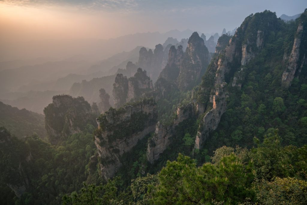 Pays plus riches en biodiversité de la planète