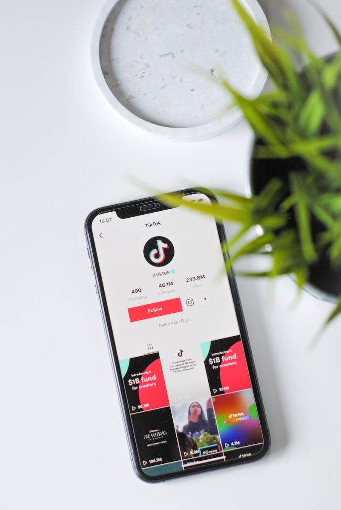 Top comptes TikTok les plus populaires en France