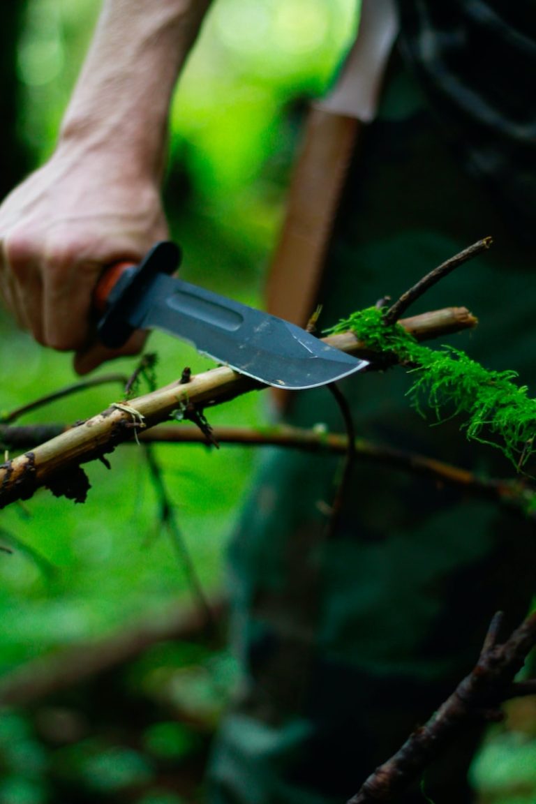 Les 10 meilleurs séries Survival de tous les temps