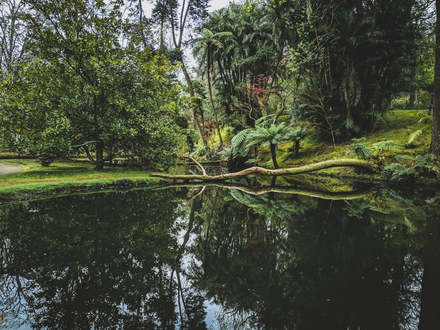 Terra Botanica : à la rencontre du parc végétal à Angers ! body of water at the greenery park