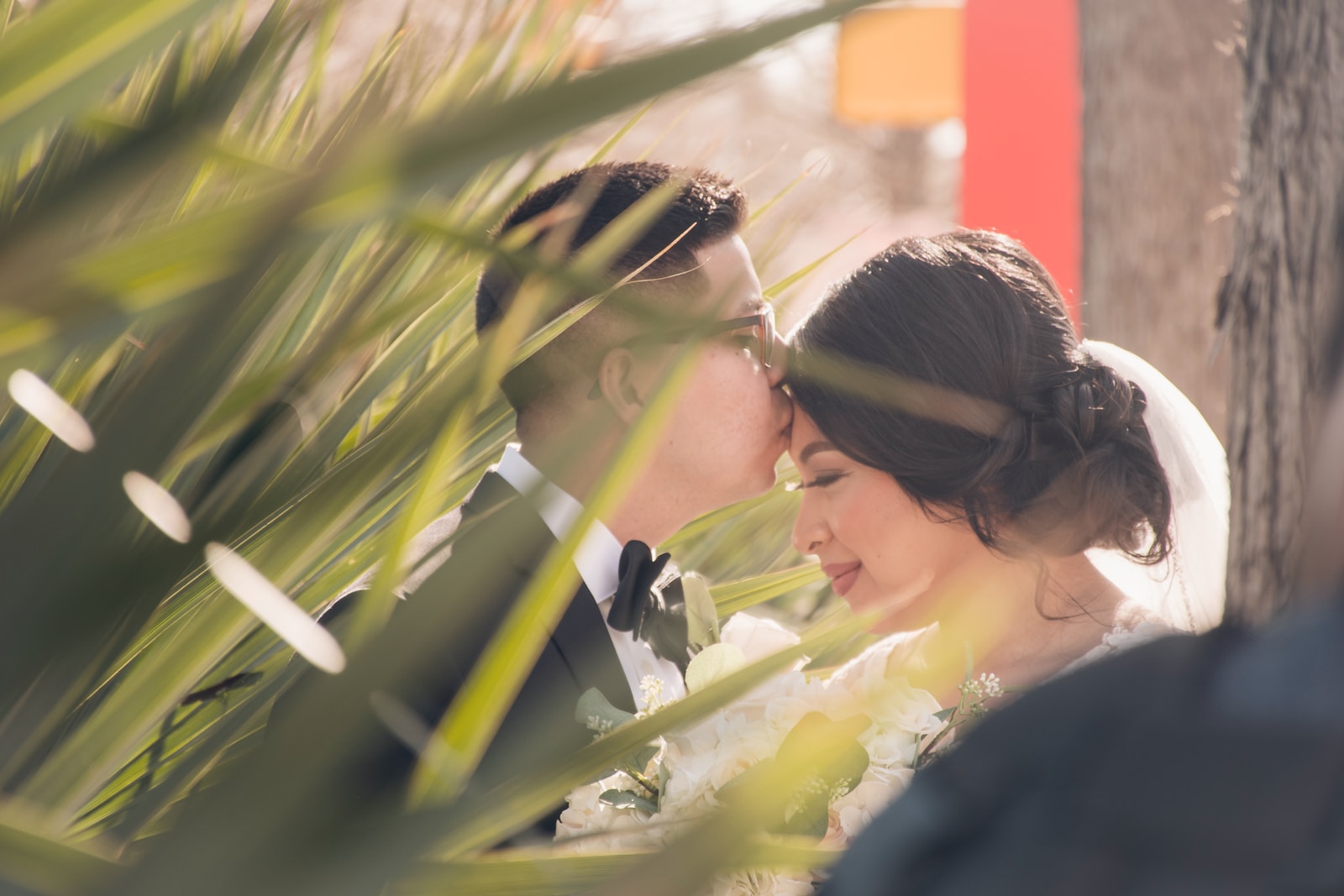 man in black suit kissing woman in white wedding dress