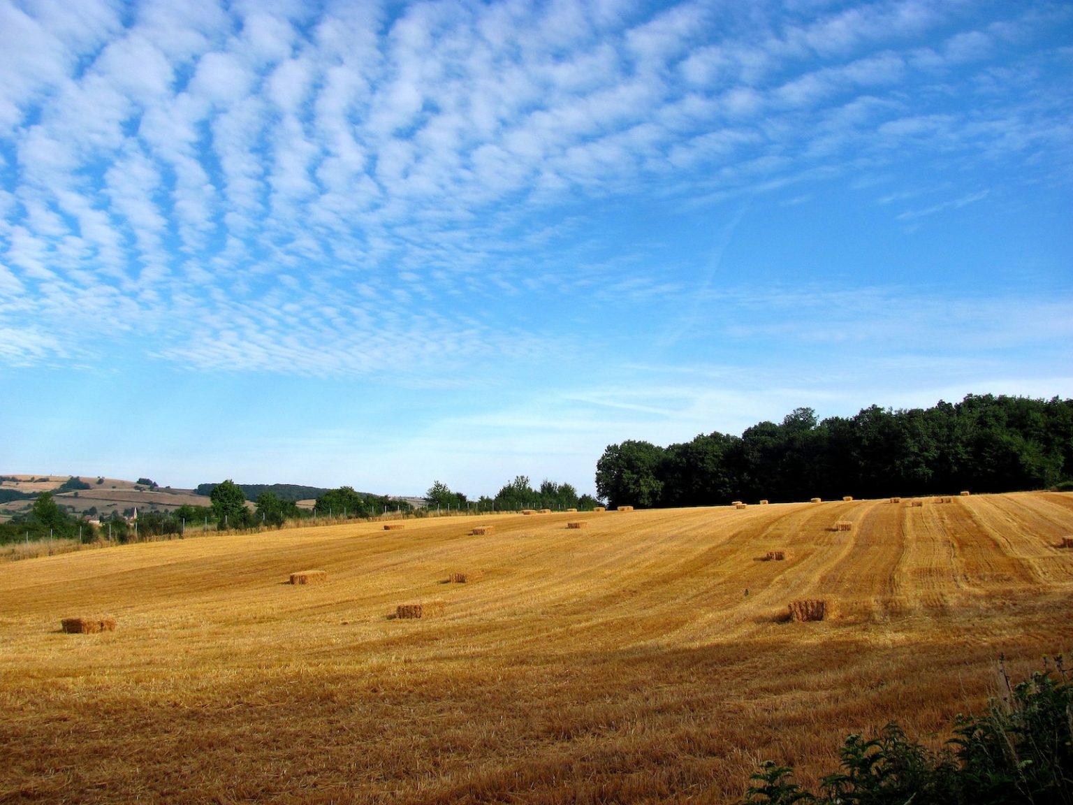 10 faits surprenants sur l’espace qui vous feront regarder le ciel différemment green grass field under blue sky and white clouds during daytime