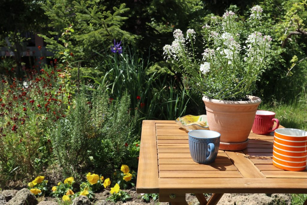 a table with cups and plants on it