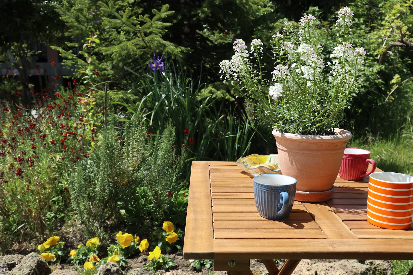 a table with cups and plants on it
