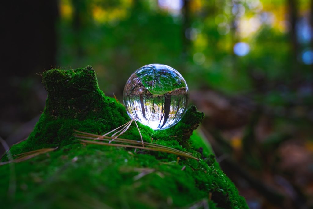 a glass ball sitting on top of a moss covered tree stump