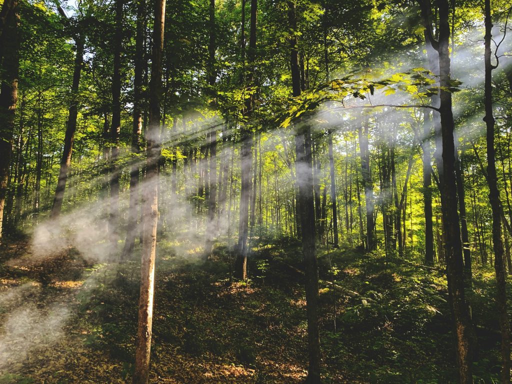 Comment trouver la detente ultime en un seul clic - plare.