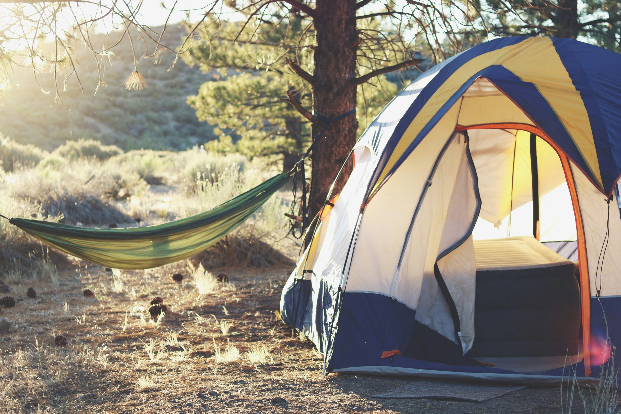 découvrez nos emplacements de camping dans un cadre naturel exceptionnel, pour des vacances en plein air inoubliables.