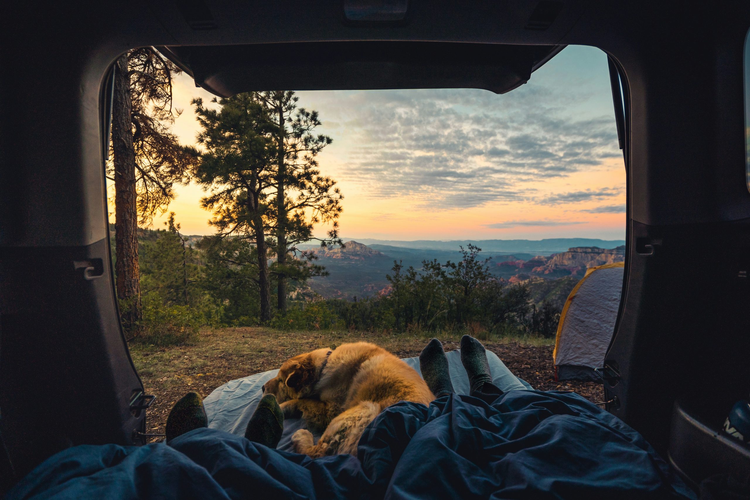 Quels sont les avantages de passer vos vacances en camping dans différentes régions de France ? - plare. découvrez notre camping au cœur de la nature, offrant des emplacements spacieux, des activités en plein air et une atmosphère conviviale pour des vacances inoubliables.