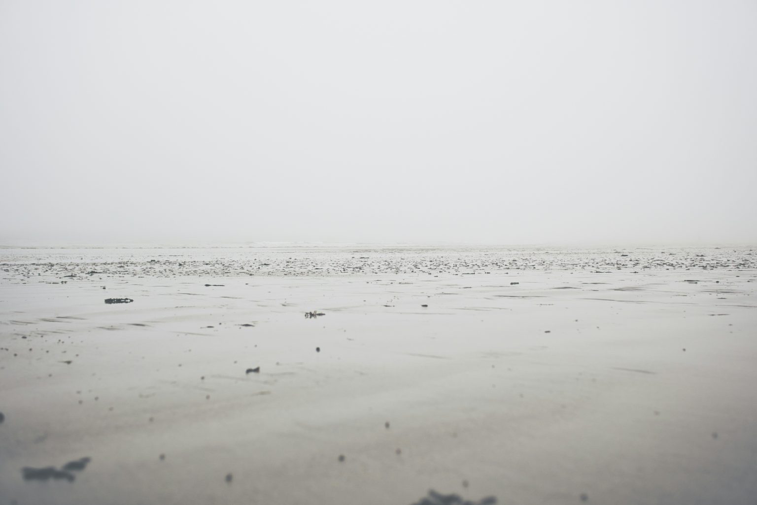 découvrez l'énigmatique mystère de la disparition dans notre collection de produits innovants et captivants.