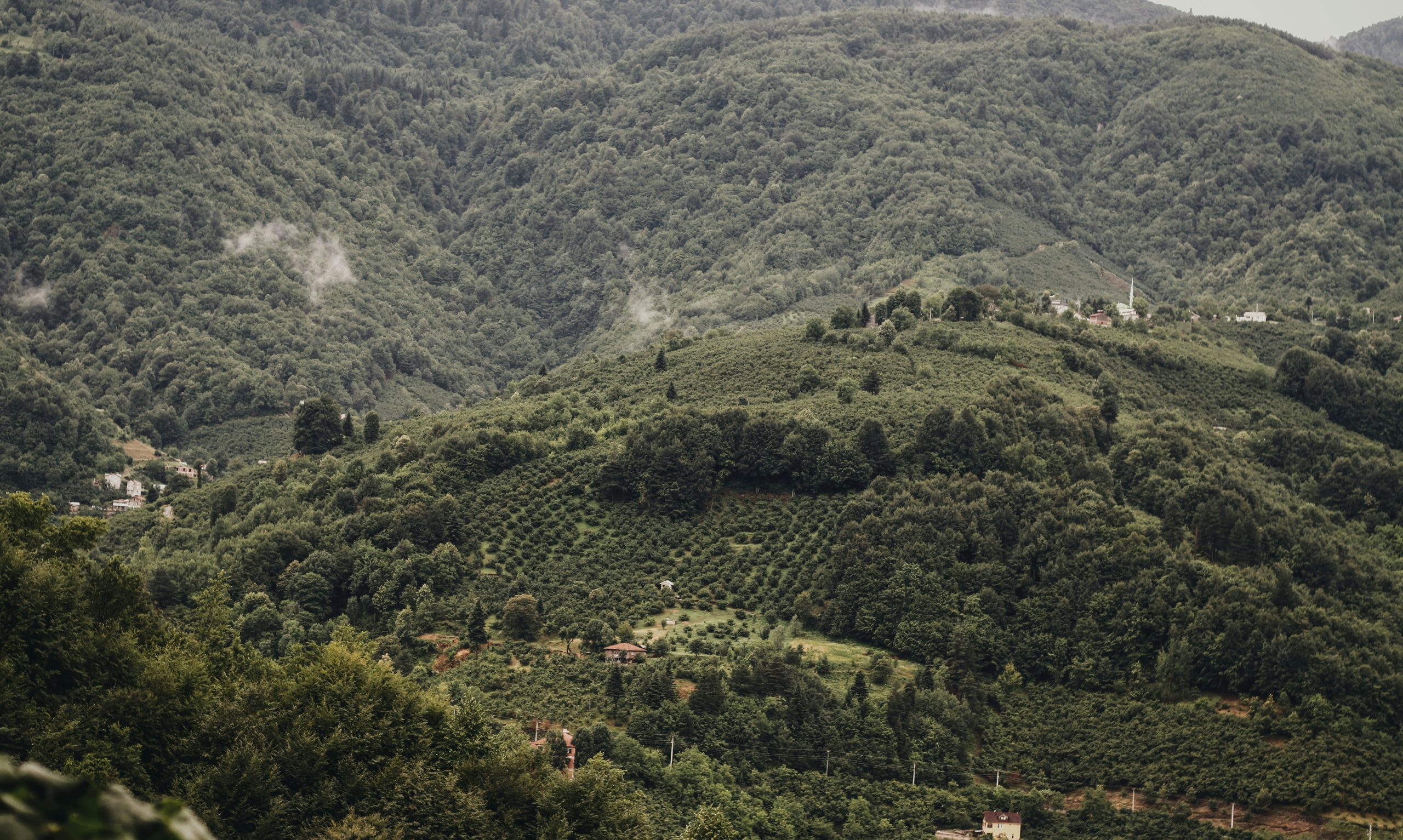 Envie de déconnecter ? Découvrez pourquoi les séjours à la campagne sont LA solution ! - plare. découvrez nos séjours à la campagne pour une escapade au grand air et au calme de la nature. réservez dès maintenant votre séjour à la campagne pour une parenthèse de bien-être et de détente.