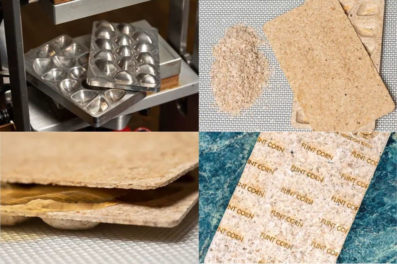 1713999416 896 Les emballages de semences ecologiques fabriques a partir de dechets - plare.