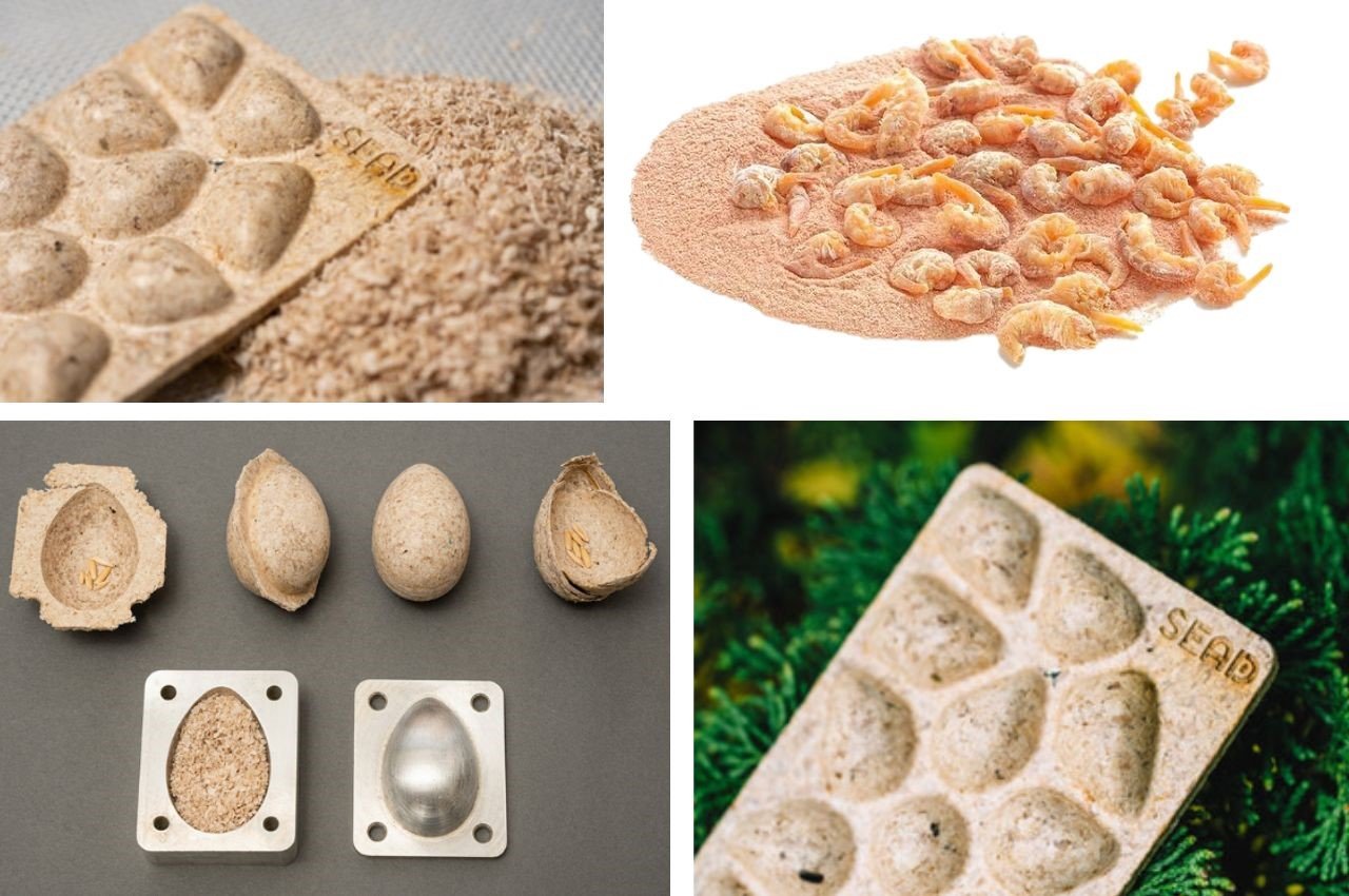 1713999416 90 Les emballages de semences ecologiques fabriques a partir de dechets - plare.
