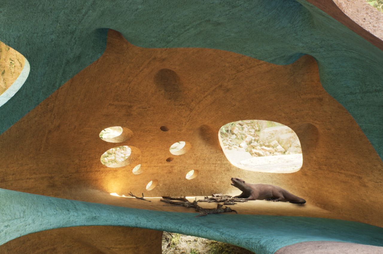1714948546 223 Les architectes du zoo repoussent les limites de larchitecture et - plare.