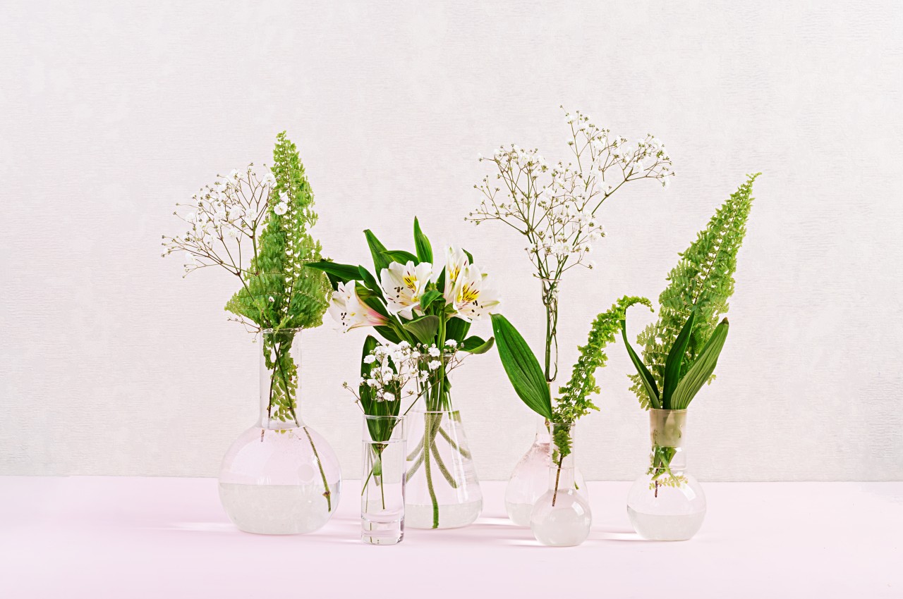 1714995955 862 20 meilleures facons de decorer votre maison avec des vases - plare.