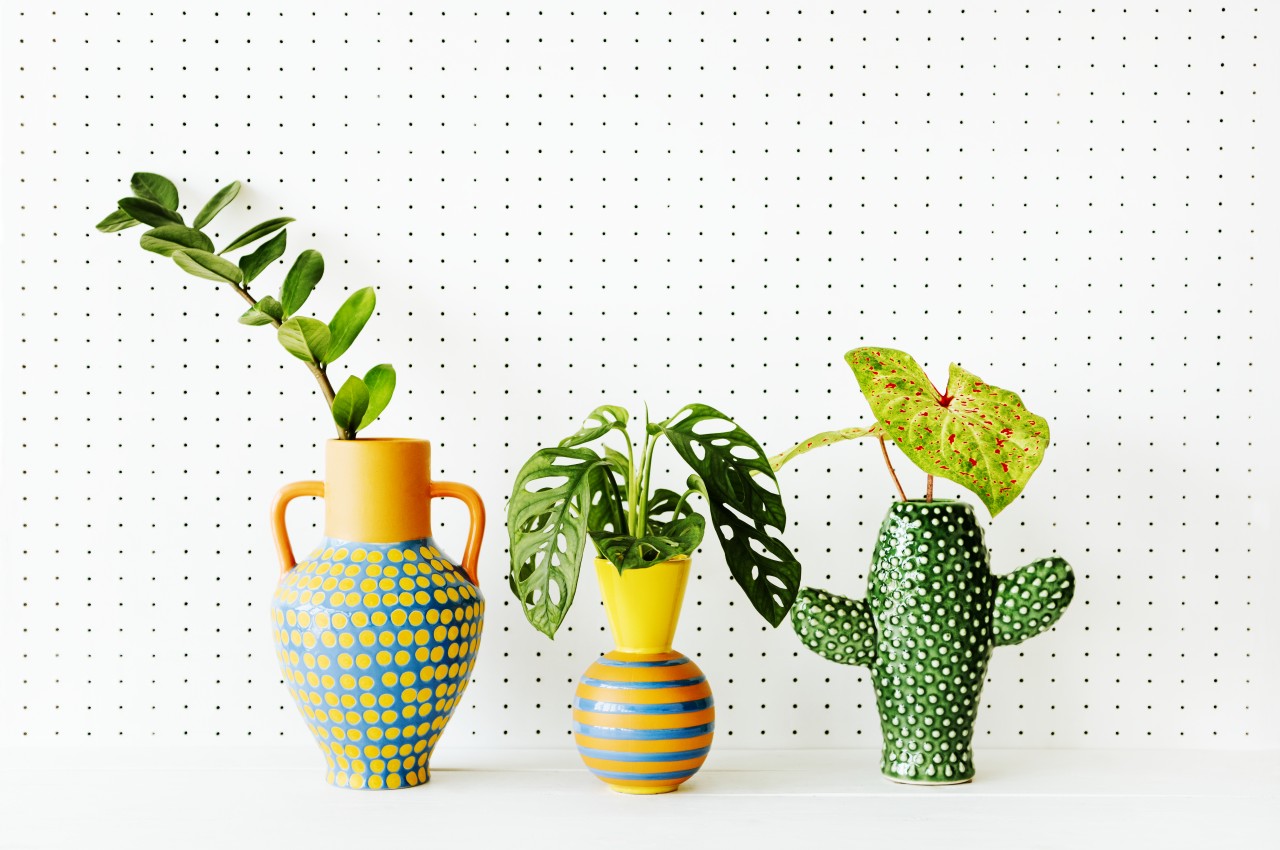 1714995956 787 20 meilleures facons de decorer votre maison avec des vases - plare.