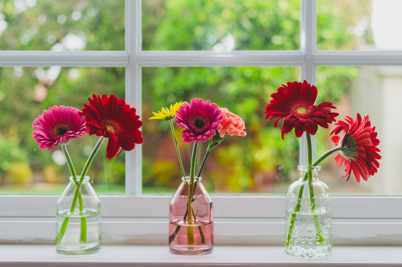1714995957 238 20 meilleures facons de decorer votre maison avec des vases - plare.