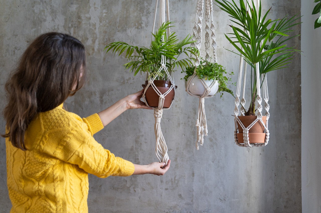 1714995963 124 20 meilleures facons de decorer votre maison avec des vases - plare.