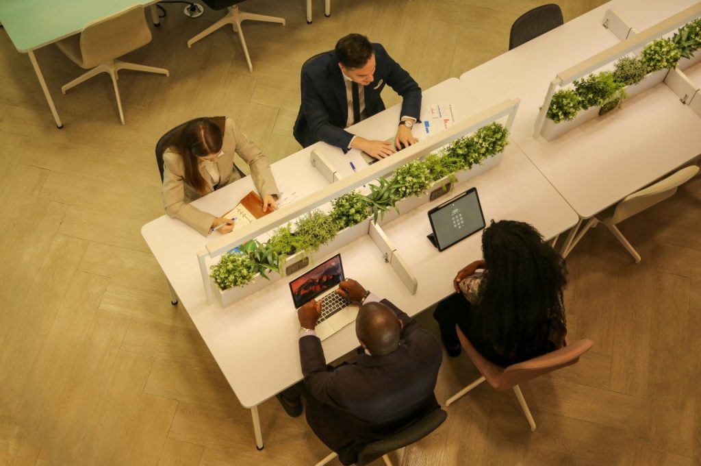 Comment intégrer la nature dans votre bureau : Guide de l’aménagement biophilique