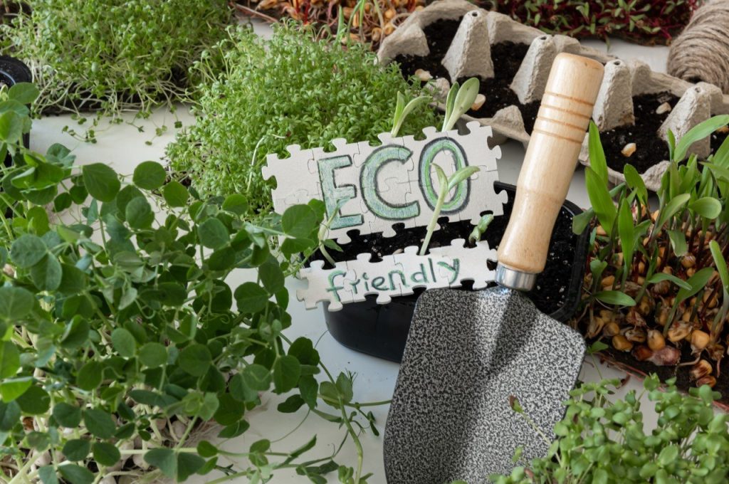 10 conseils éprouvés pour créer un jardin durable et respectueux de l’environnement