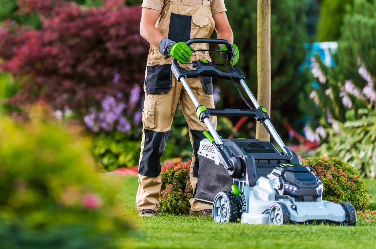 10 conseils eprouves pour creer un jardin durable et - plare.