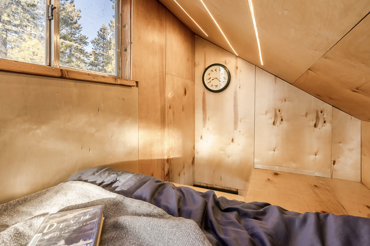 1717544379 640 Cette cabane ecologique isolee dans la foret est un - plare.