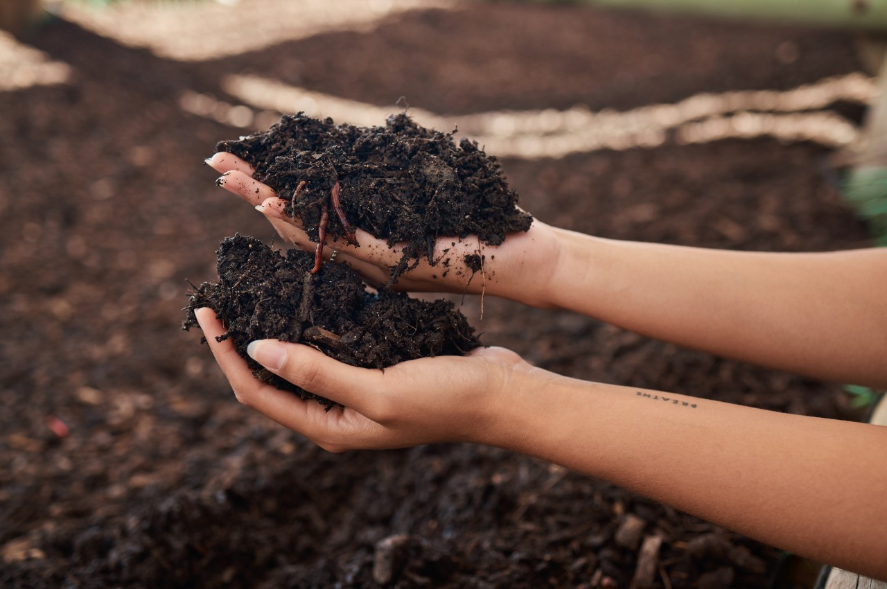 1719056628 624 10 conseils eprouves pour creer un jardin durable et - plare.