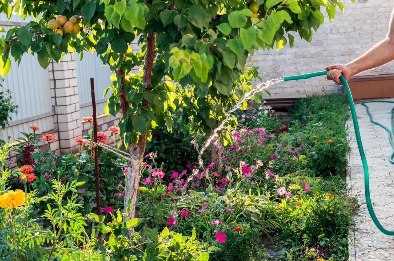 1719056628 862 10 conseils eprouves pour creer un jardin durable et - plare.