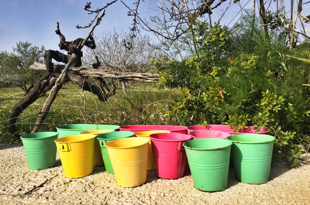 1719056629 709 10 conseils eprouves pour creer un jardin durable et - plare.