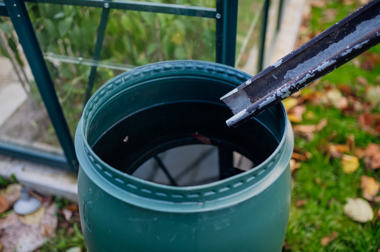 1719056630 219 10 conseils eprouves pour creer un jardin durable et - plare.