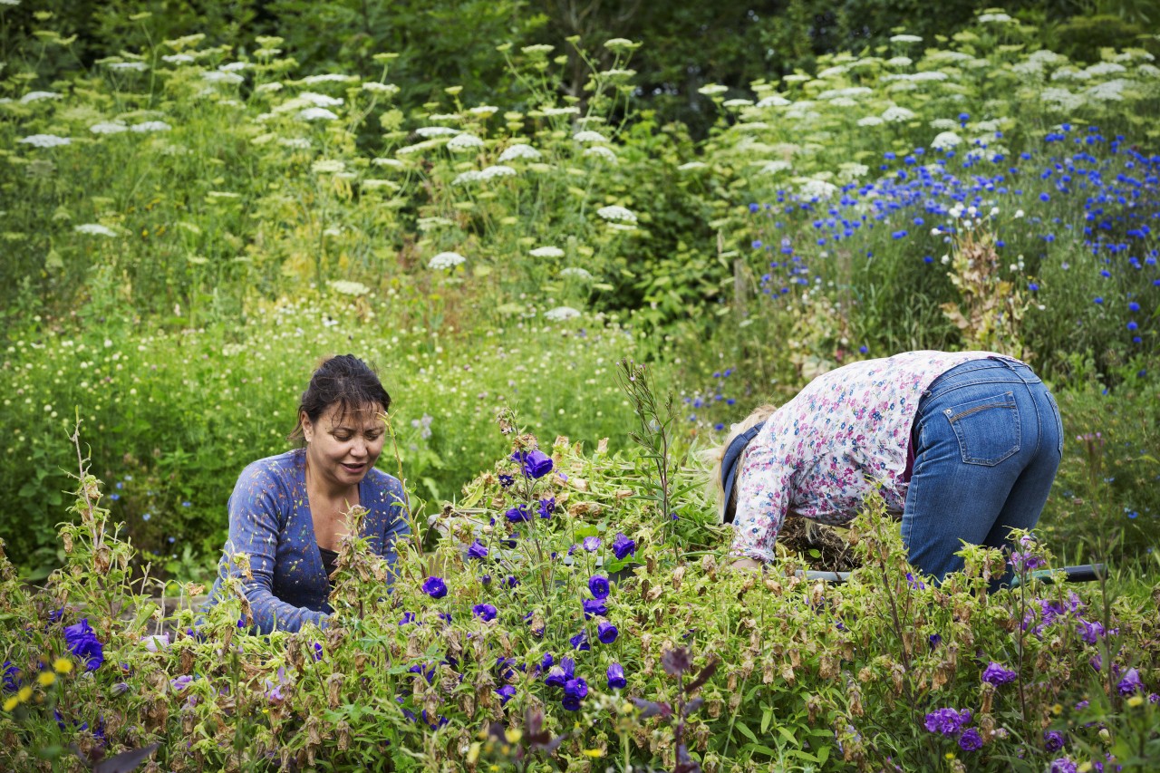 1719056630 751 10 conseils eprouves pour creer un jardin durable et - plare.