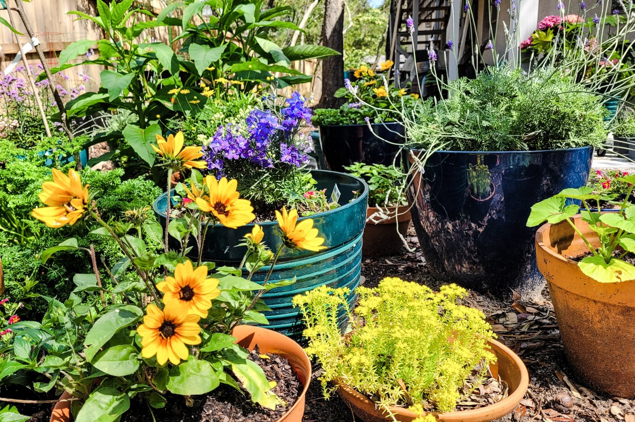 1719056631 95 10 conseils eprouves pour creer un jardin durable et - plare.