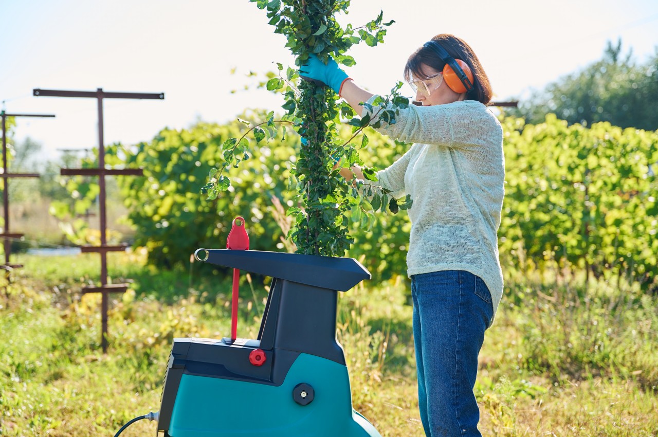 1719056633 861 10 conseils eprouves pour creer un jardin durable et - plare.